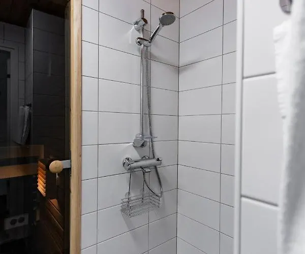 Arctic Holiday 1 公寓 罗瓦涅米